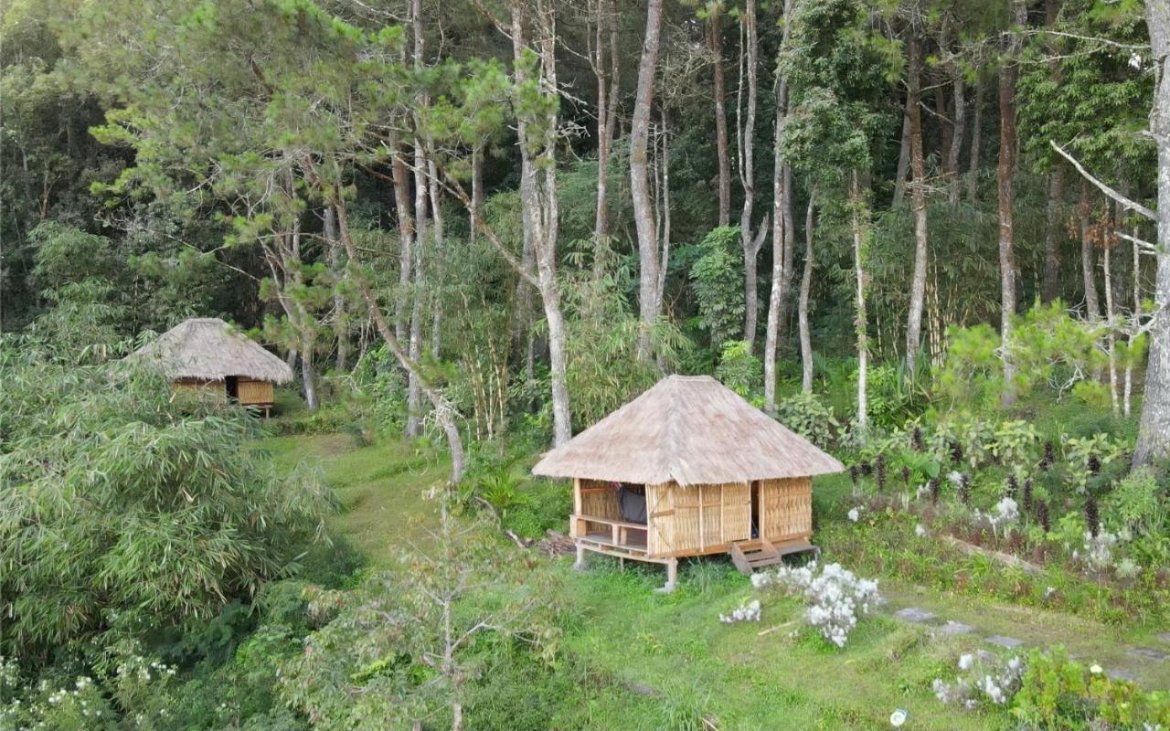 Vila Ticket To The Moon Hammock Camp Selat Exteriér fotografie